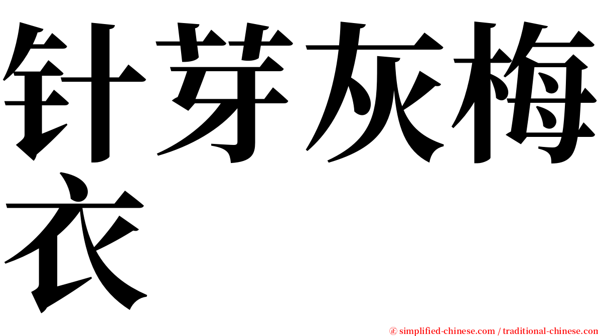 针芽灰梅衣 serif font