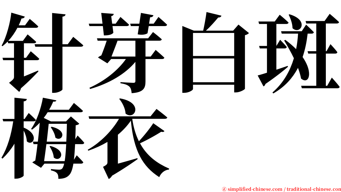 针芽白斑梅衣 serif font