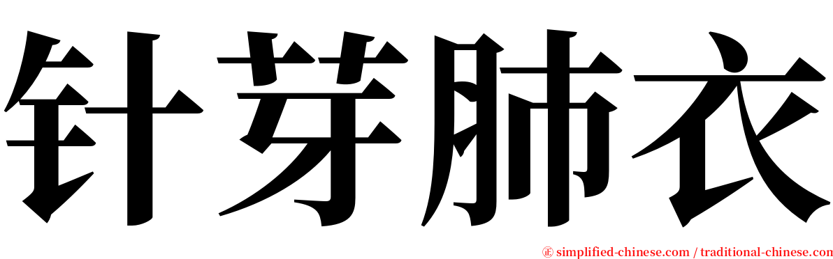 针芽肺衣 serif font