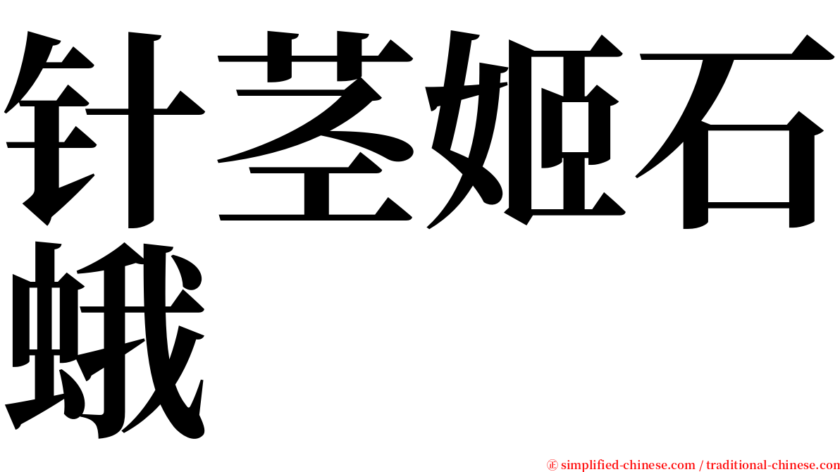 针茎姬石蛾 serif font