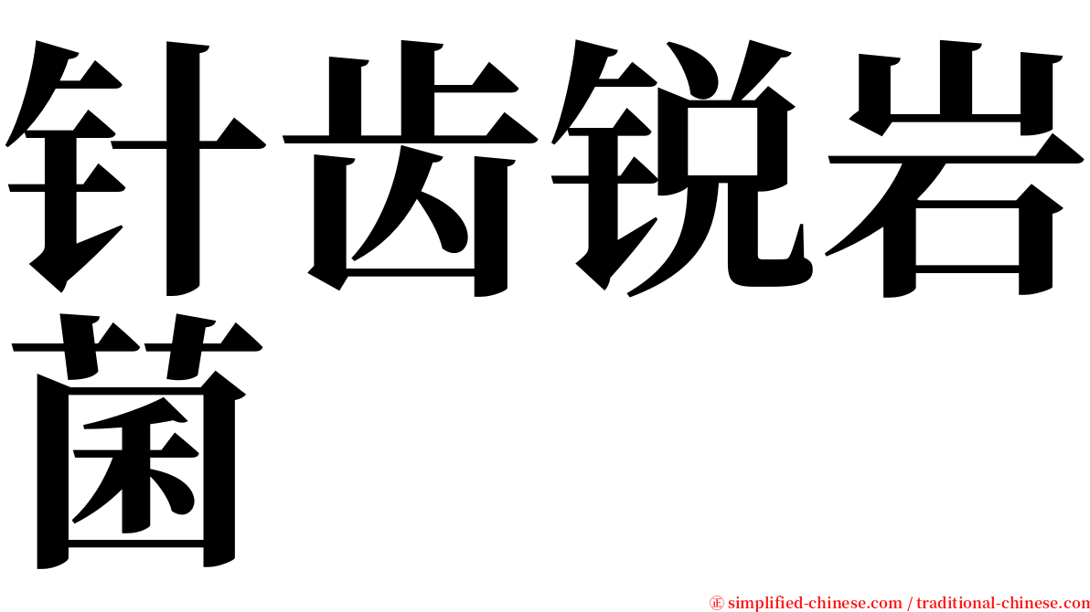 针齿锐岩菌 serif font