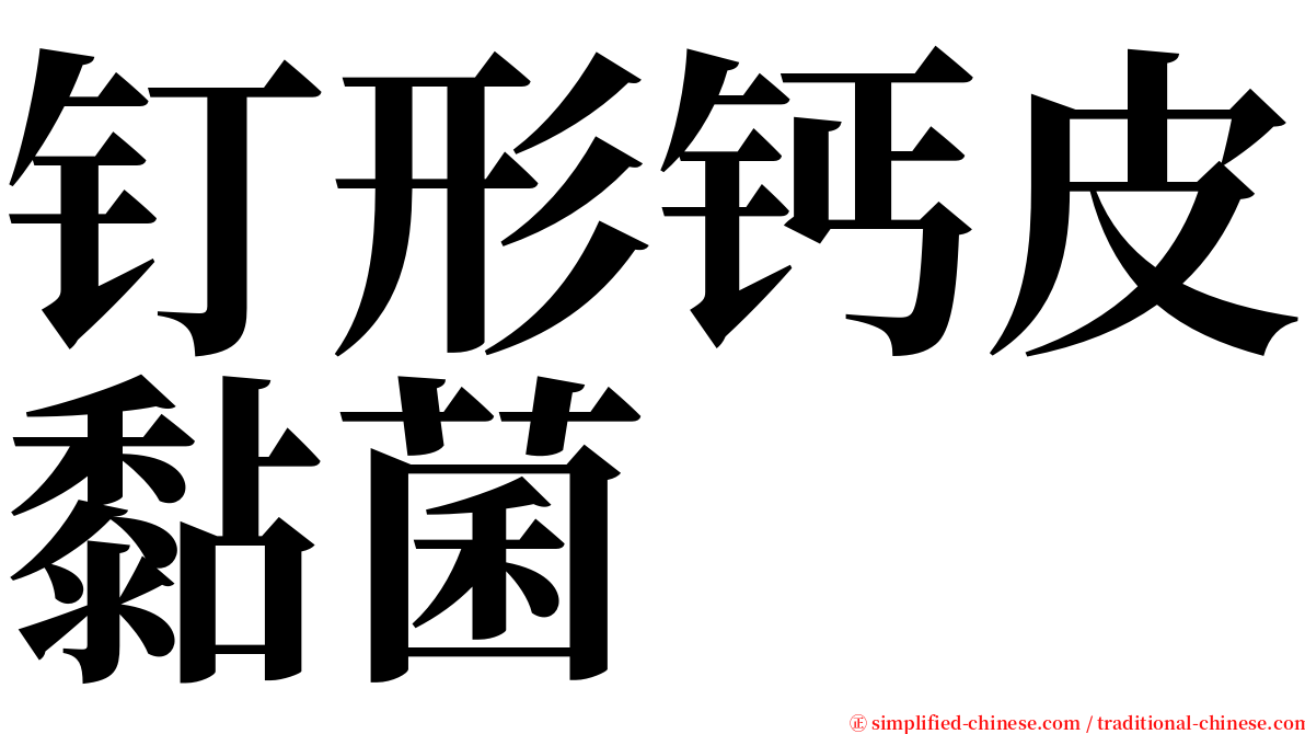 钉形钙皮黏菌 serif font