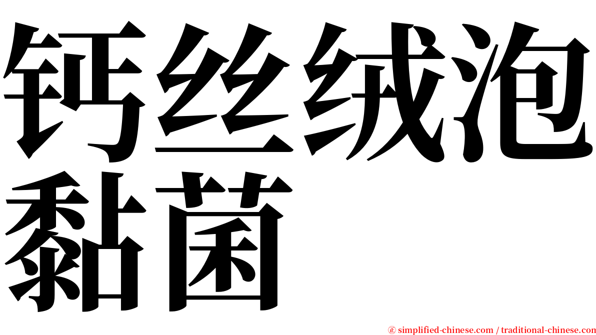 钙丝绒泡黏菌 serif font