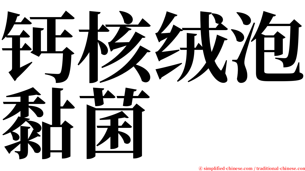 钙核绒泡黏菌 serif font