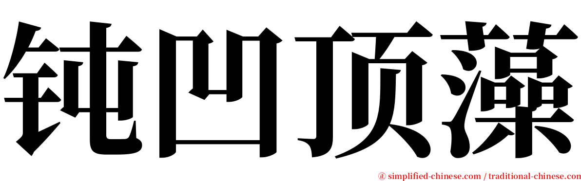 钝凹顶藻 serif font