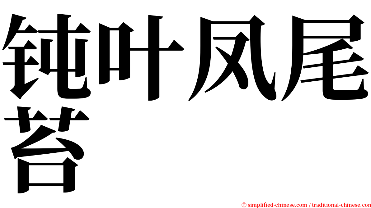 钝叶凤尾苔 serif font