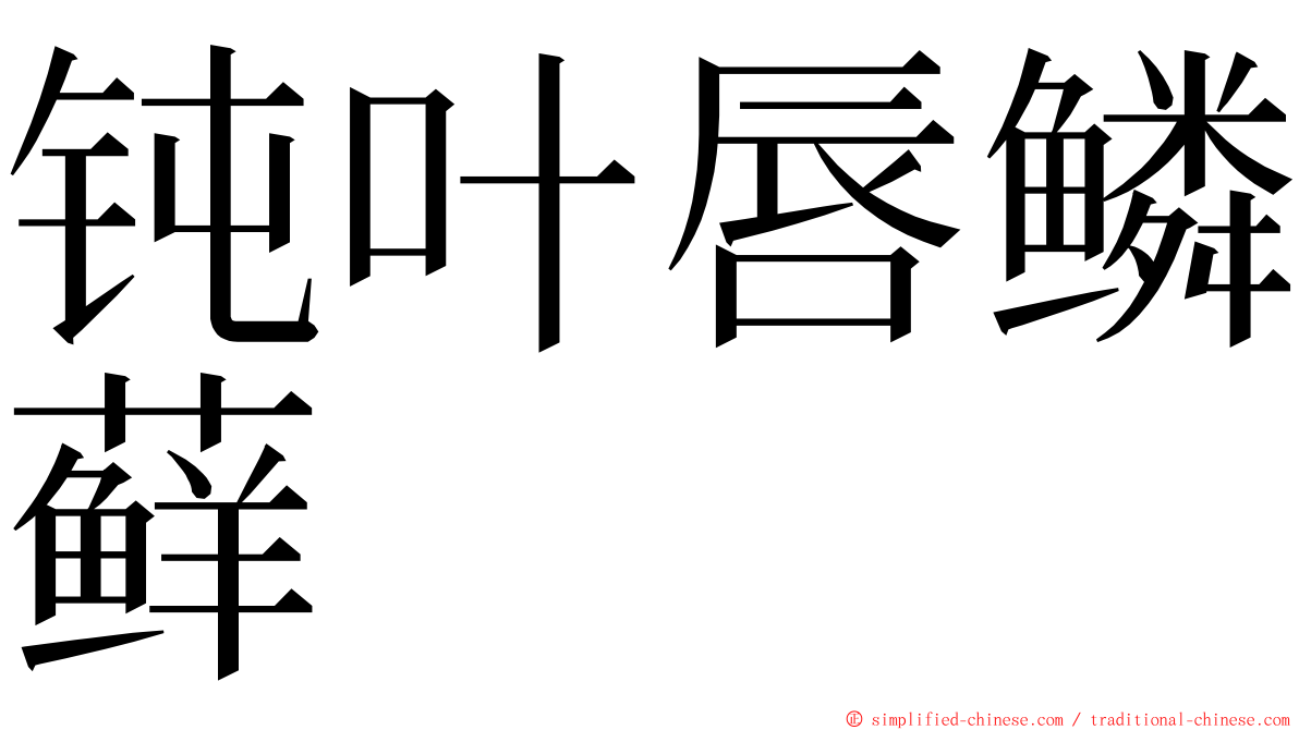 钝叶唇鳞藓 ming font