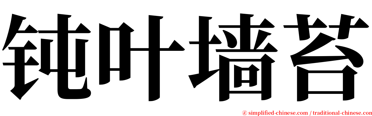 钝叶墙苔 serif font