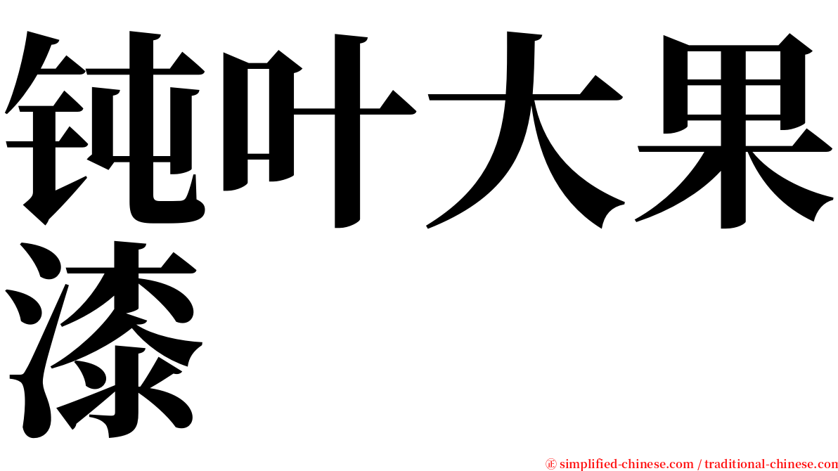 钝叶大果漆 serif font