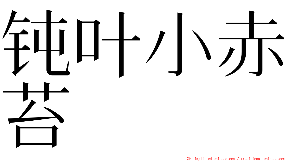 钝叶小赤苔 ming font