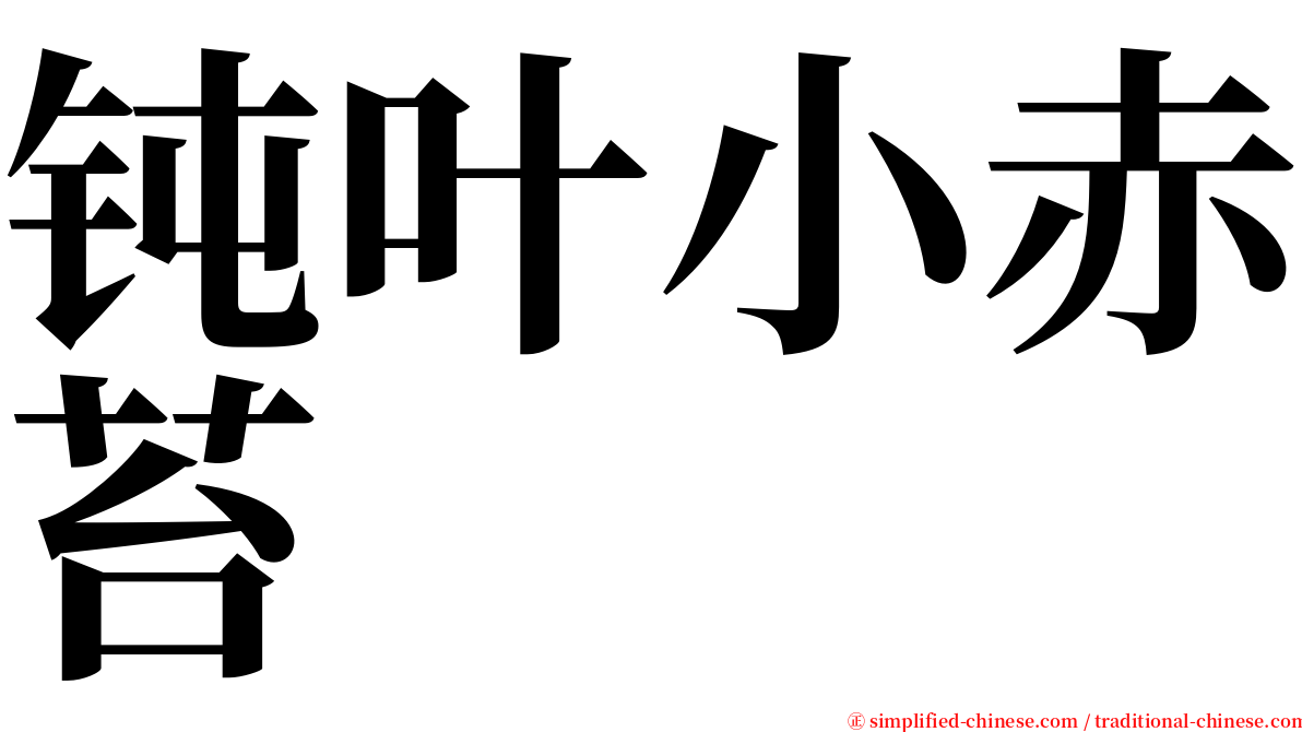 钝叶小赤苔 serif font