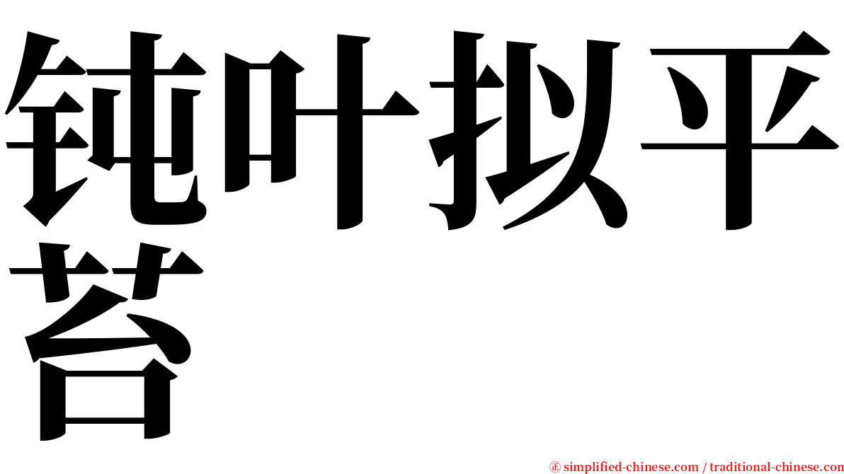 钝叶拟平苔 serif font