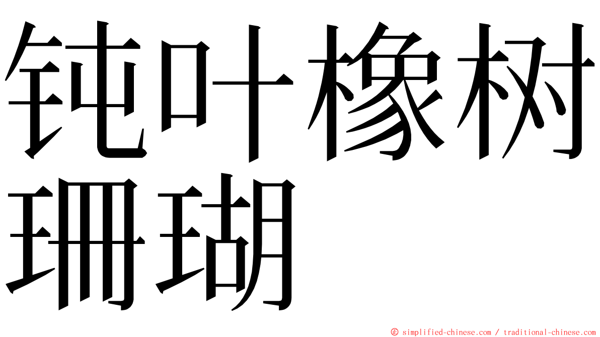 钝叶橡树珊瑚 ming font