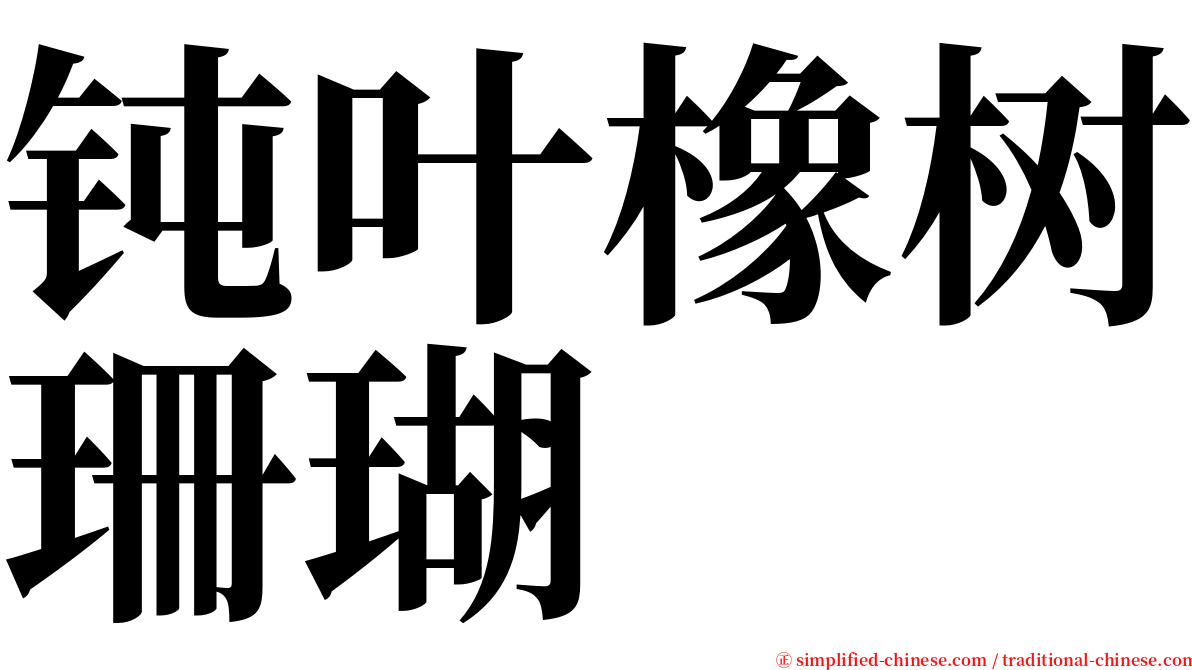 钝叶橡树珊瑚 serif font