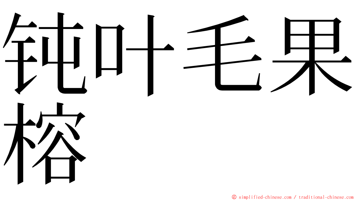 钝叶毛果榕 ming font