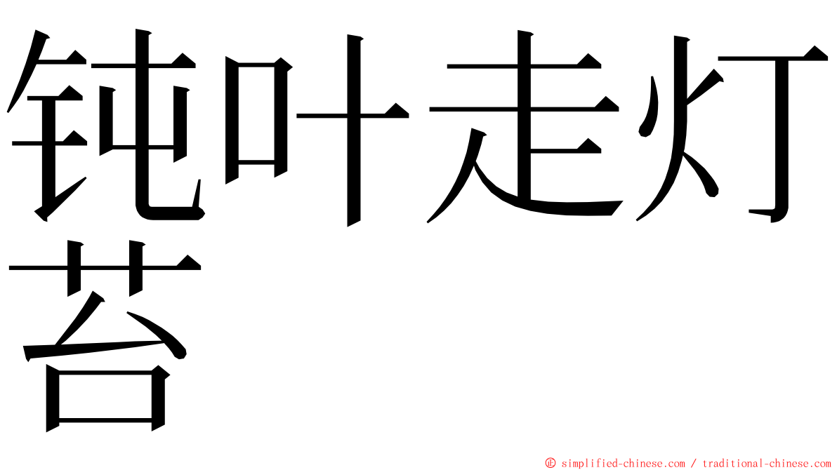 钝叶走灯苔 ming font