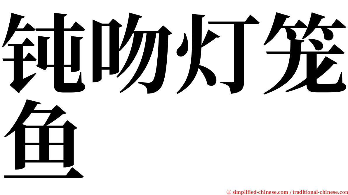 钝吻灯笼鱼 serif font