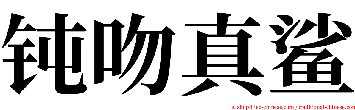 钝吻真鲨 serif font