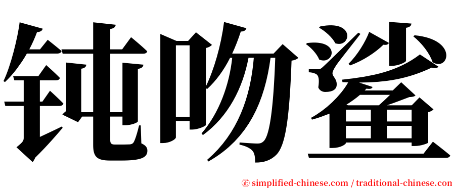 钝吻鲨 serif font