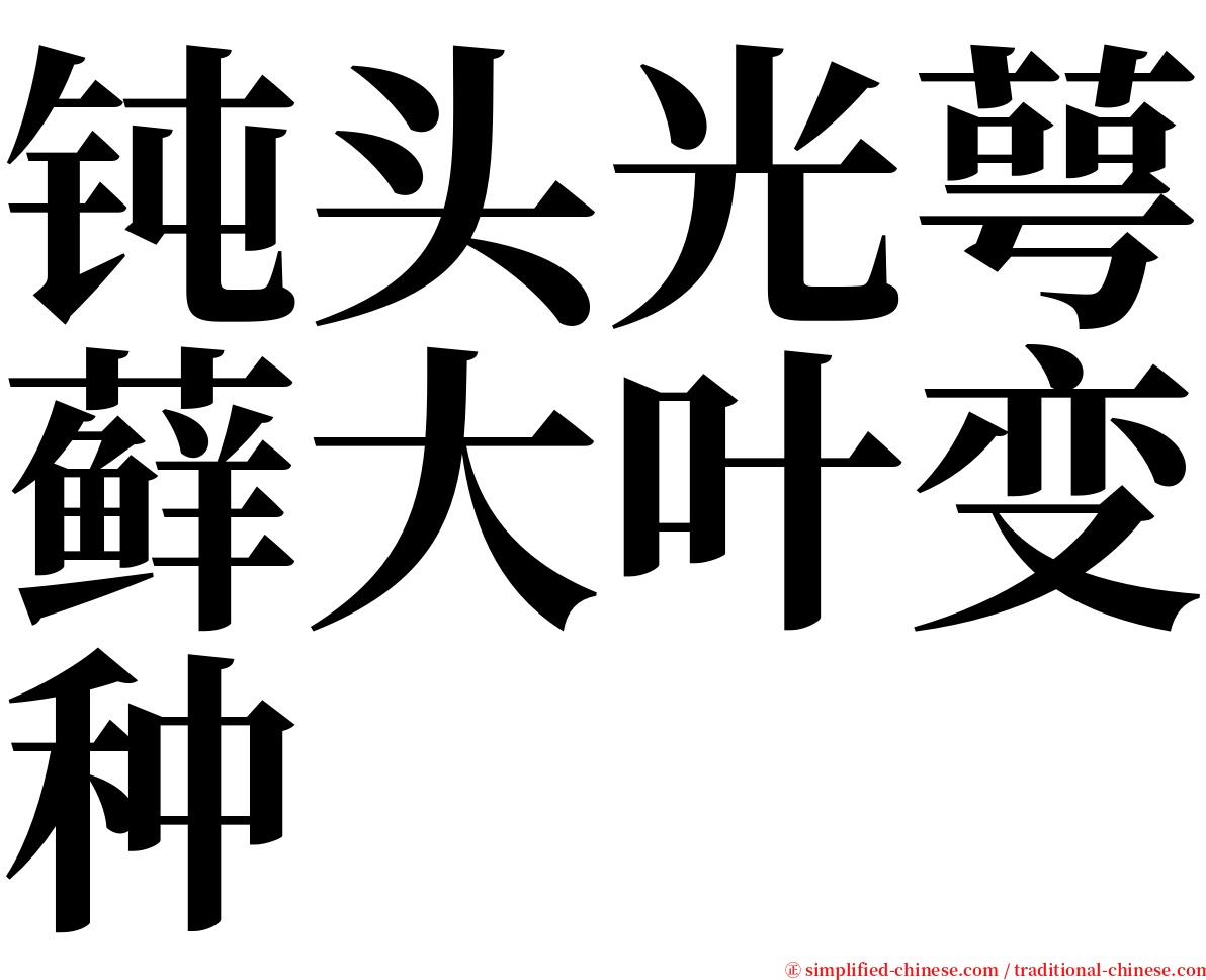 钝头光萼藓大叶变种 serif font