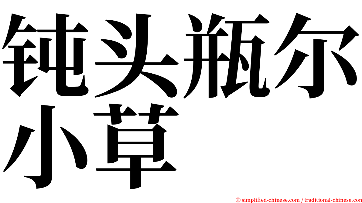 钝头瓶尔小草 serif font