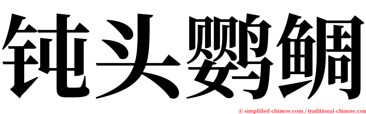 钝头鹦鲷 serif font