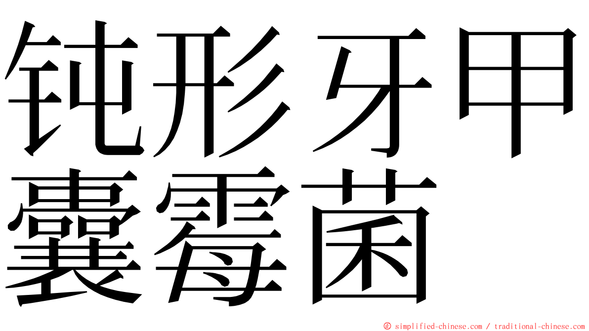 钝形牙甲囊霉菌 ming font