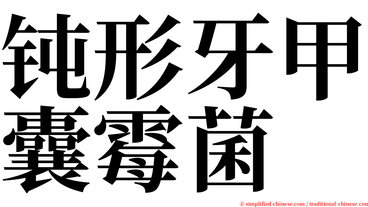 钝形牙甲囊霉菌 serif font