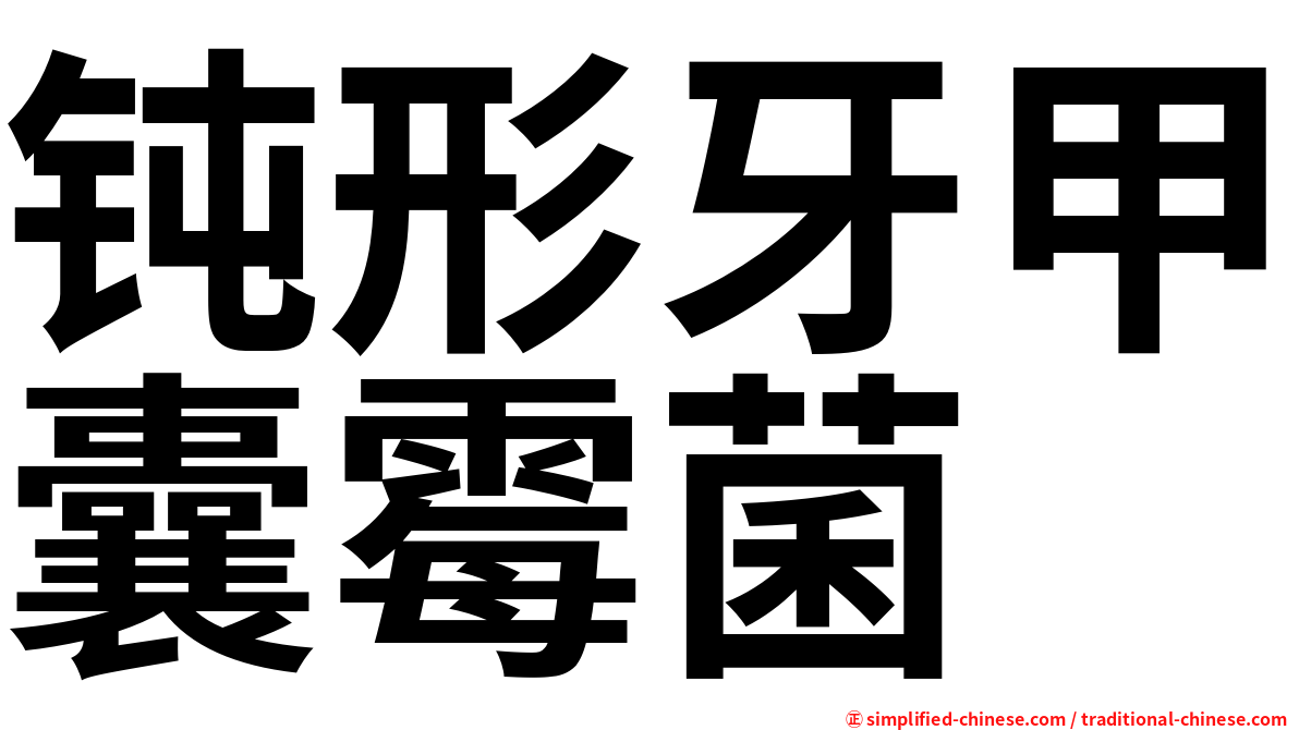 钝形牙甲囊霉菌