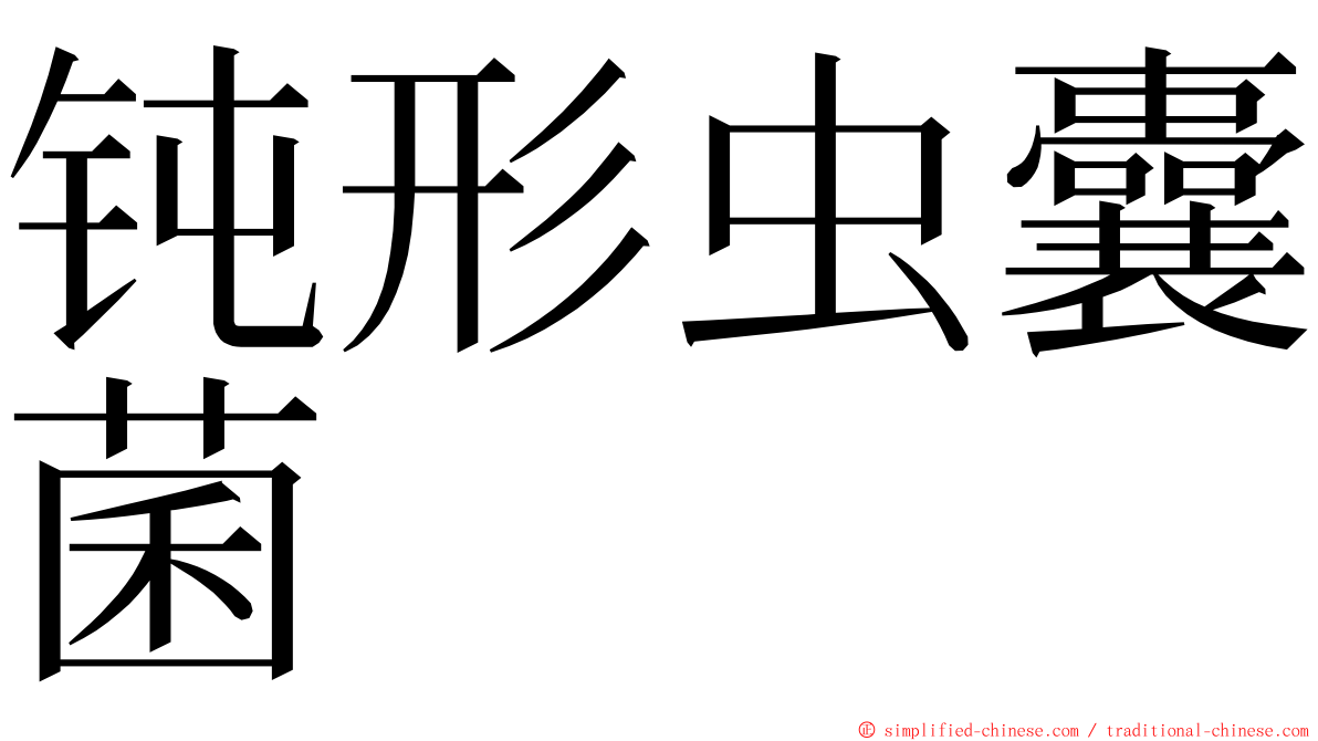 钝形虫囊菌 ming font