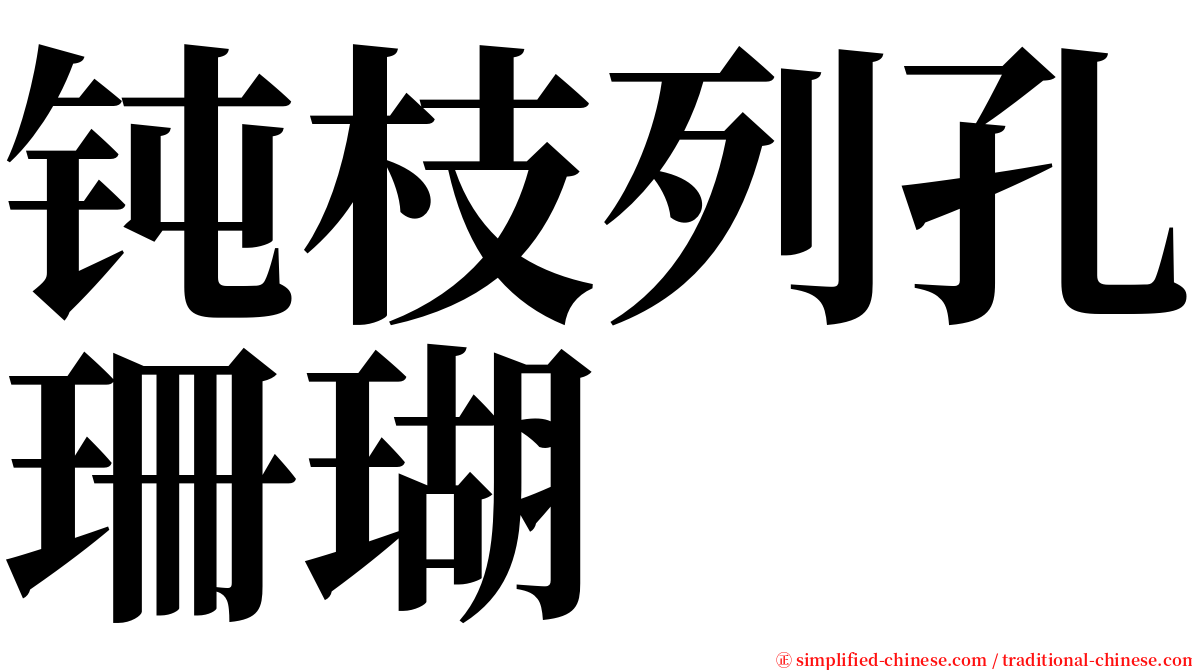 钝枝列孔珊瑚 serif font