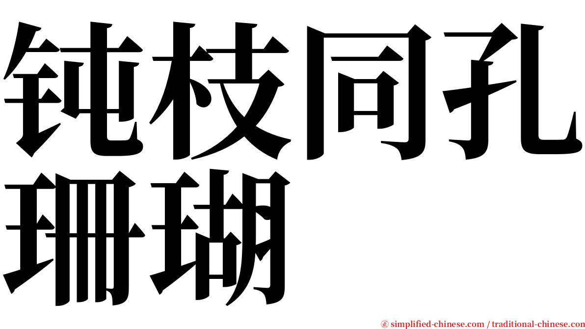 钝枝同孔珊瑚 serif font