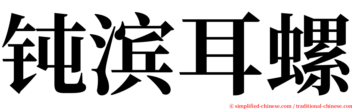 钝滨耳螺 serif font