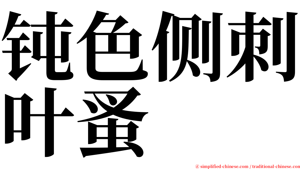 钝色侧刺叶蚤 serif font