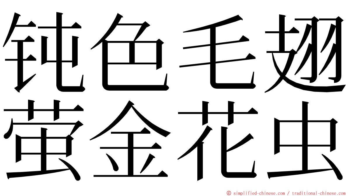 钝色毛翅萤金花虫 ming font