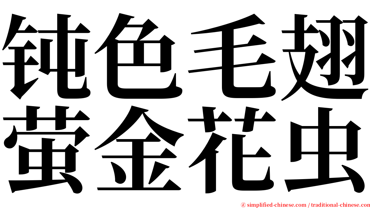 钝色毛翅萤金花虫 serif font