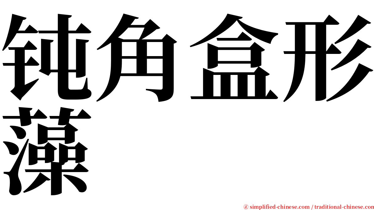 钝角盒形藻 serif font