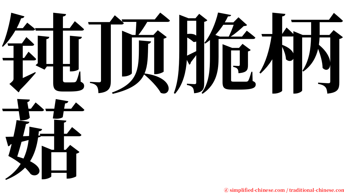 钝顶脆柄菇 serif font