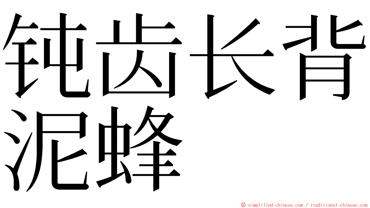 钝齿长背泥蜂 ming font