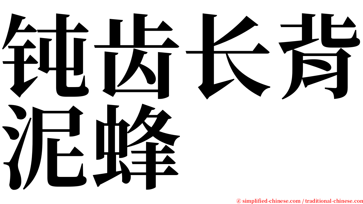 钝齿长背泥蜂 serif font