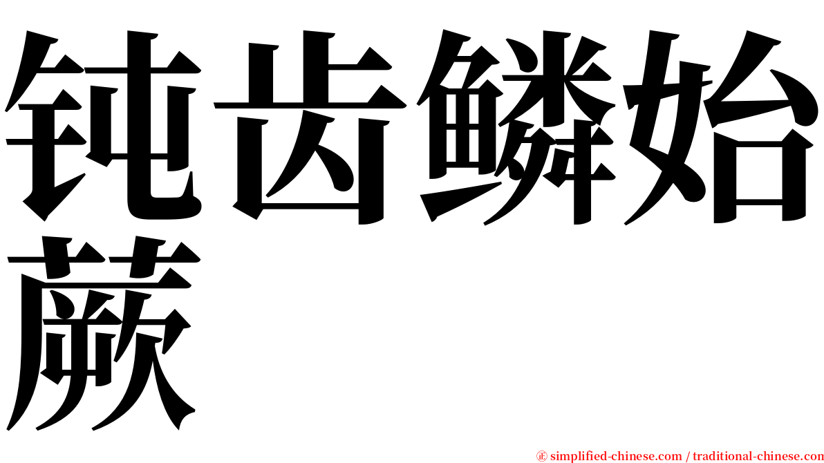 钝齿鳞始蕨 serif font