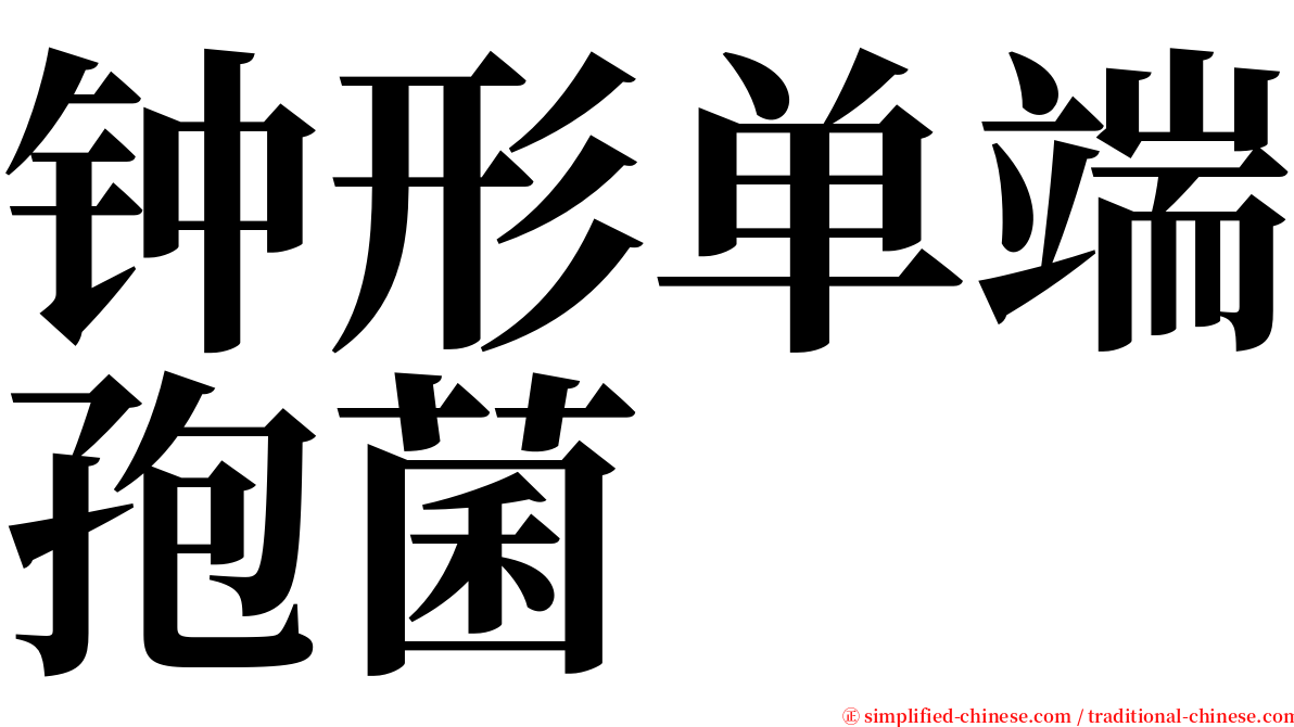 钟形单端孢菌 serif font