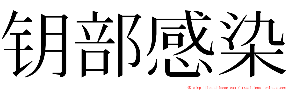 钥部感染 ming font