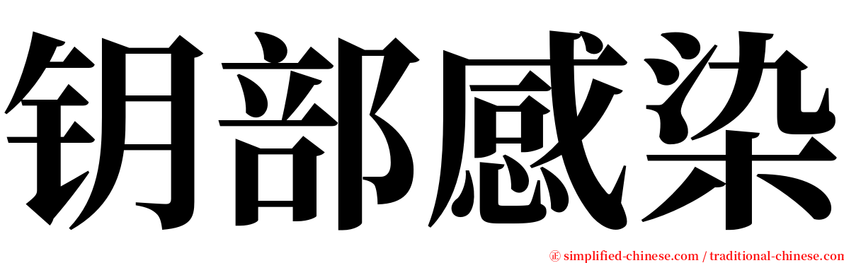 钥部感染 serif font