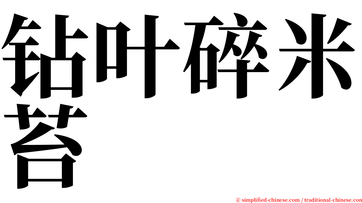 钻叶碎米苔 serif font