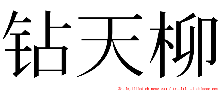 钻天柳 ming font