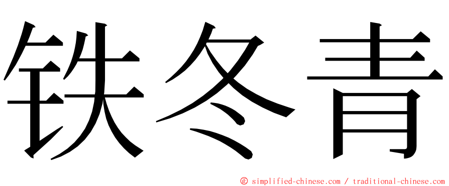 铁冬青 ming font