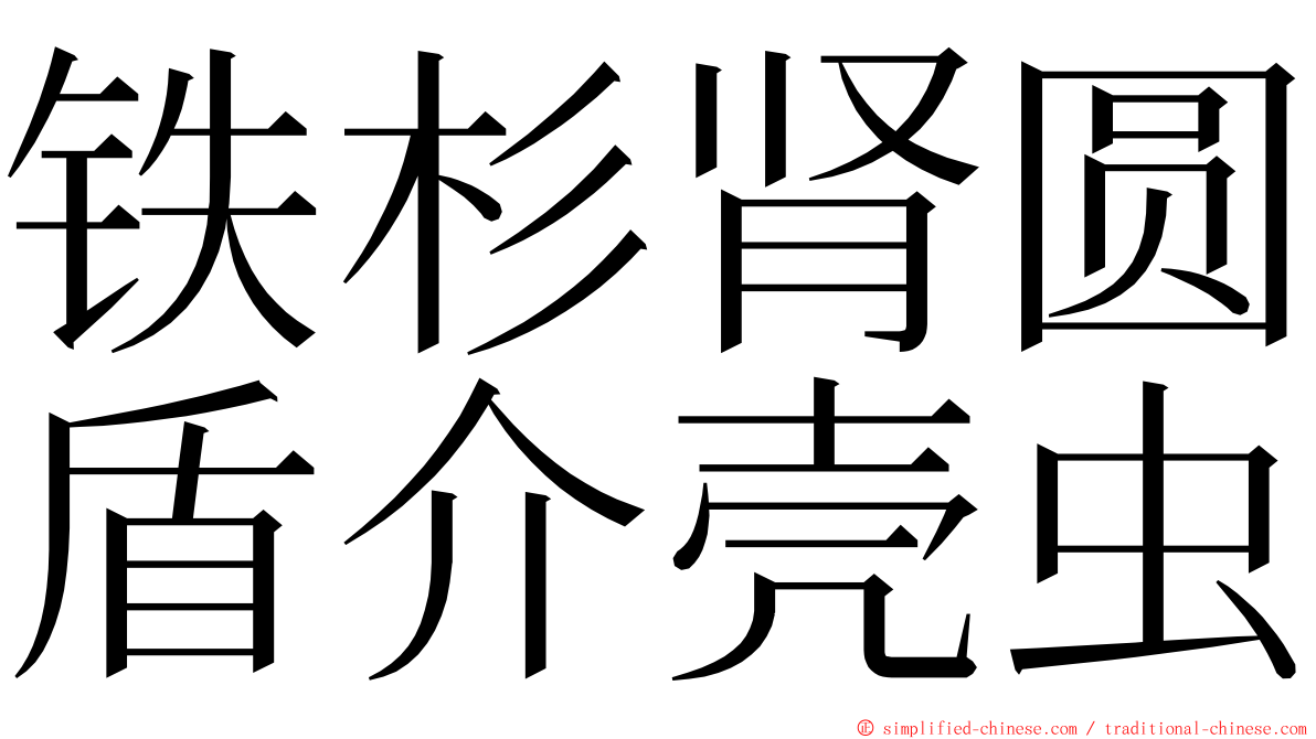 铁杉肾圆盾介壳虫 ming font