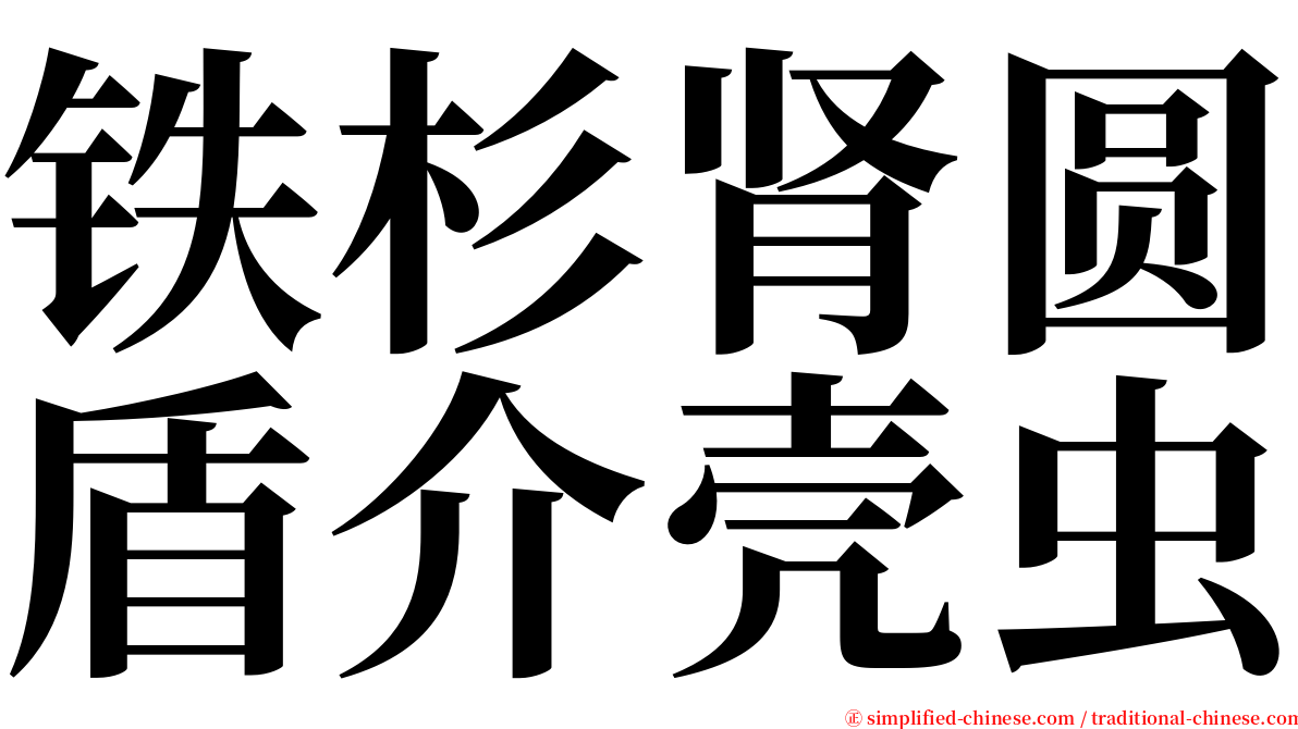 铁杉肾圆盾介壳虫 serif font