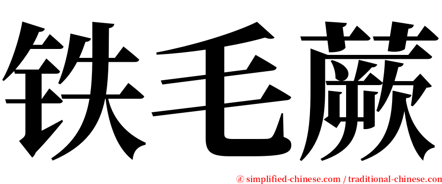 铁毛蕨 serif font